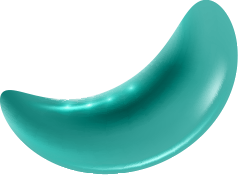 plan_img